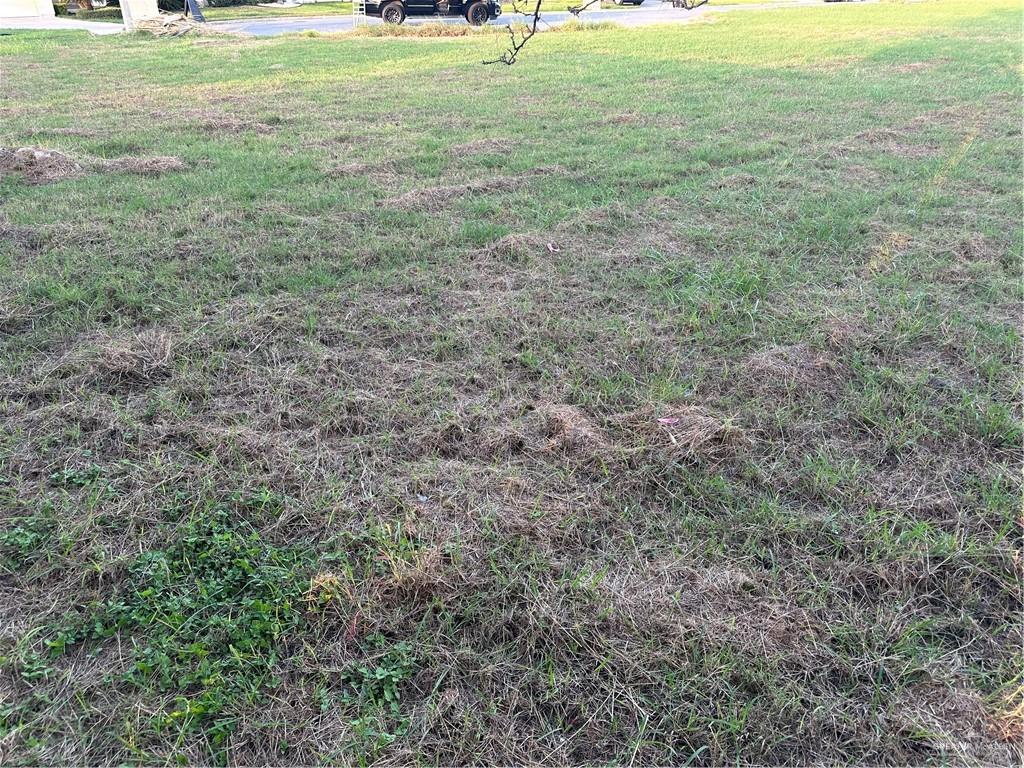 Photo 3 of 4709 Savannah Avenue