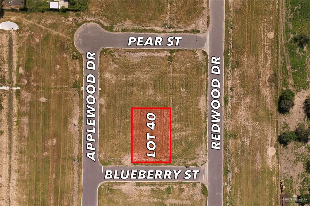 Photo 1 of 0040 Blueberry Street, Weslaco