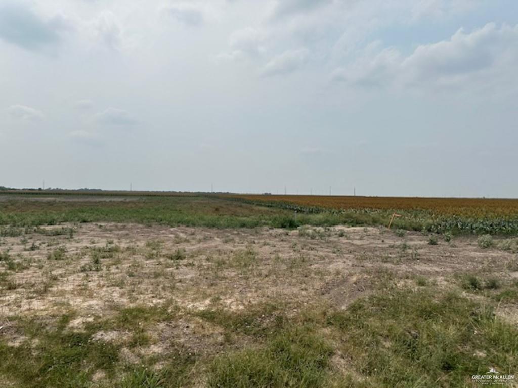 Photo 1 of lot 4 Briggs Cloeman Briggs Coleman Road, Harlingen