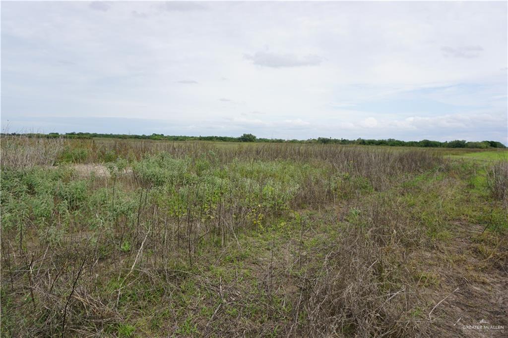 Photo 1 of 1/2 Jesus Flores Road, Monte Alto