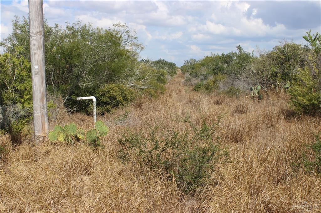 Photo 19 of 0 FM 339 Highway