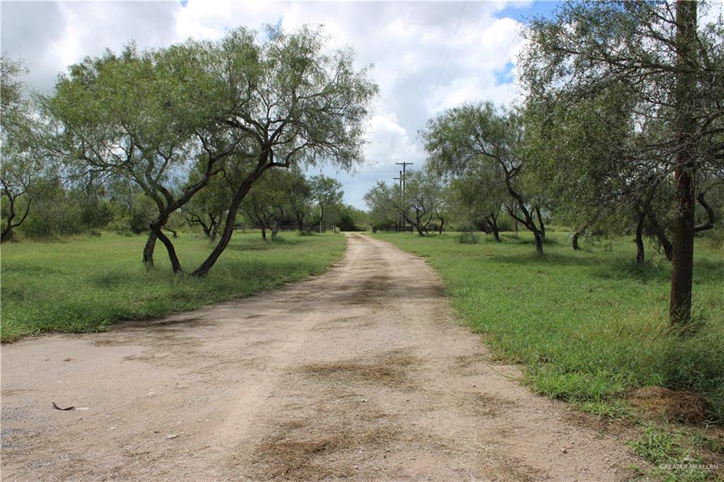 Photo 10 of 375 CR 401 Road