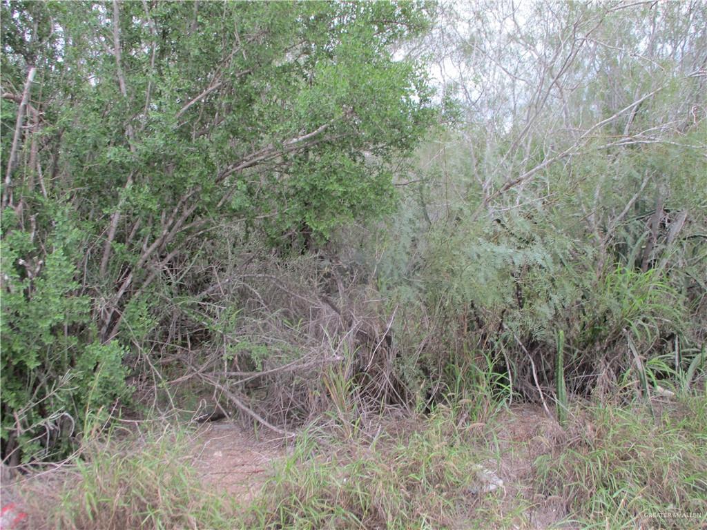 Photo 3 of 217 Charco Blanco Road
