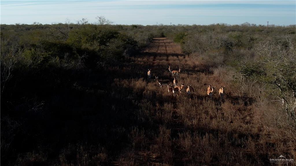 Photo 2 of 0 FM 681