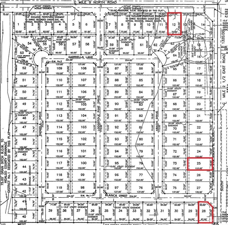 Land home at 1523 Blanca Street, Mercedes, Texas