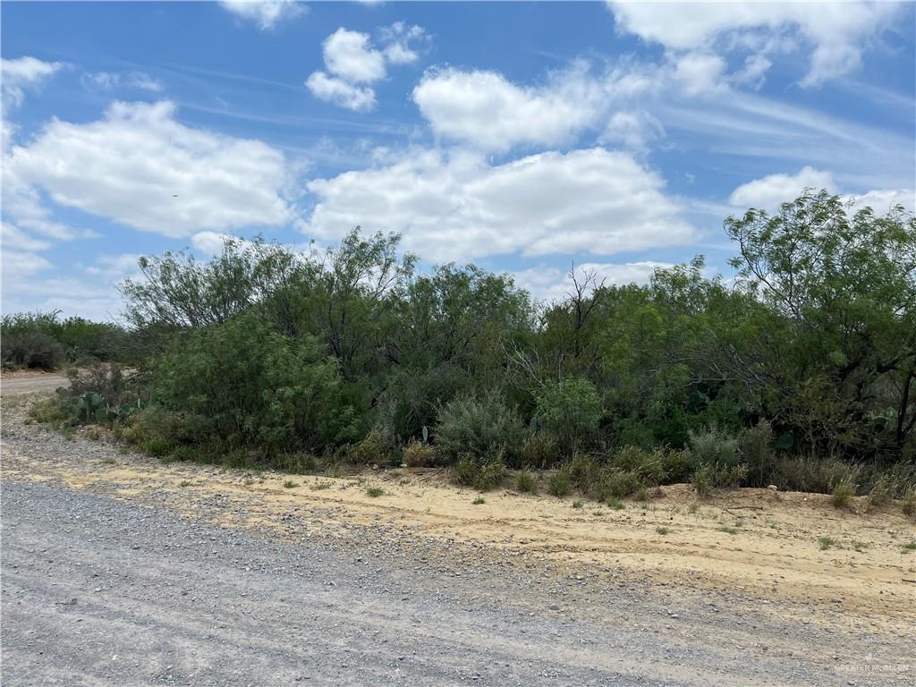 Photo 1 of 319 Pelican Street, Zapata