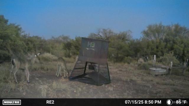 Photo 15 of 000 County Road 173